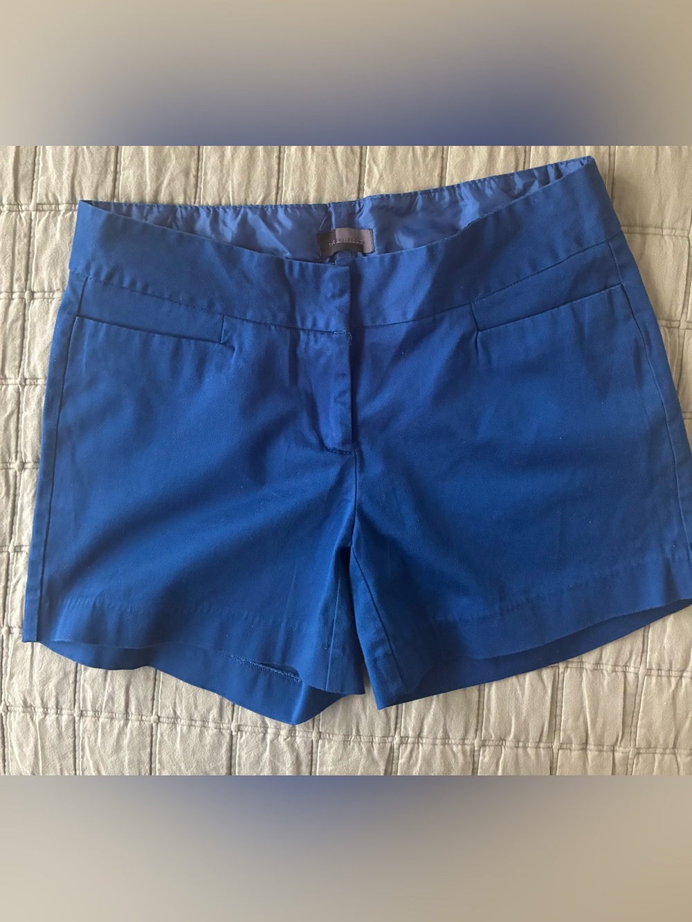 The Limited Women's Royal Blue Chino Shorts - Size 10
